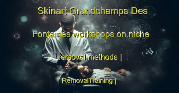 Skinart Grandchamps Des Fontaines workshops on niche removal methods | RemovalTraining | RemovalClasses | SkinartTraining-France